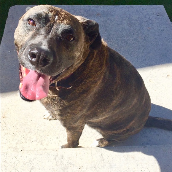 Meet your Posher, Rachel - Picture 2 of 2